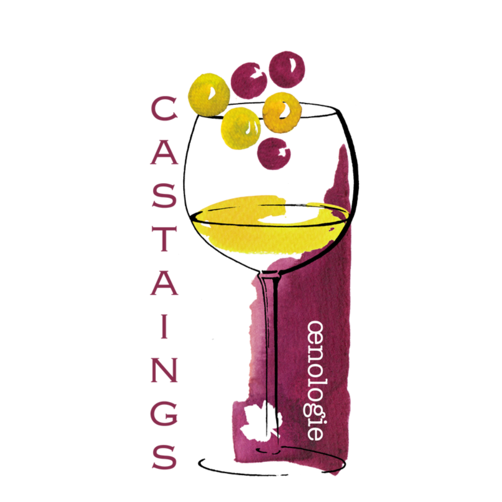 logo_laboratoire_castaings